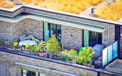 Urbanes Gärtnern leicht gemacht: Hochbeete auf Balkon und Dachterrasse mit VivaLaGarten.at