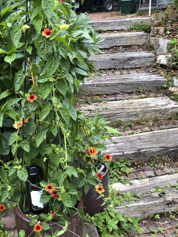Ansicht der alten Gartentreppe die nun mit einer wundervollen Gartentreppe aus Stahl von Viva la Garten ausgetauscht wird.
