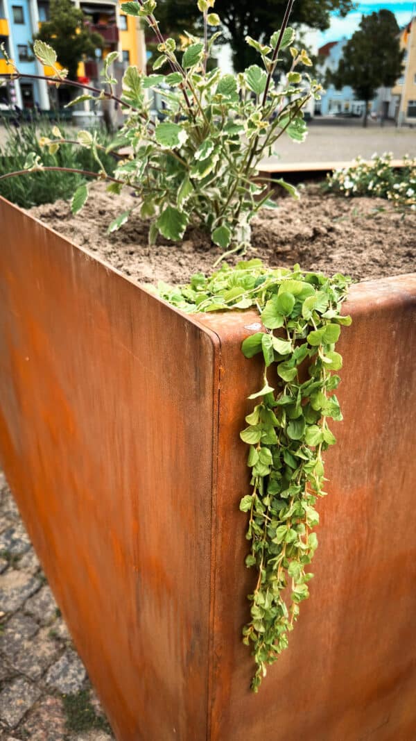 Hochbeet mit Sitzbank Giardino Detailansicht 1